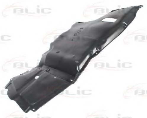 BLIC 6601-02-8161873P Engine Cover